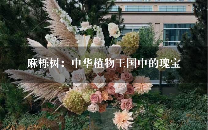 麻栎树：中华植物王国中的瑰宝