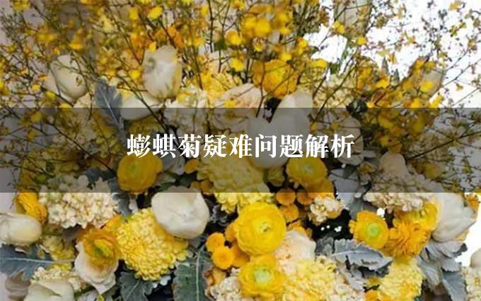 蟛蜞菊疑难问题解析