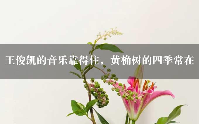 王俊凯的音乐靠得住，黄桷树的四季常在