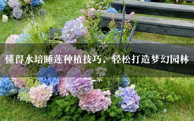 懂得水培睡莲种植技巧，轻松打造梦幻园林