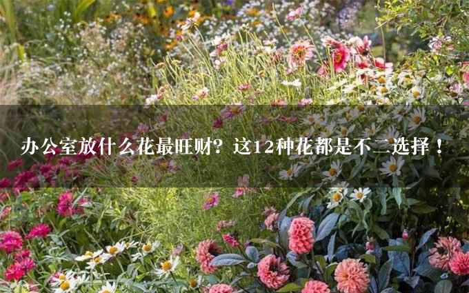 办公室放什么花最旺财？这12种花都是不二选择！