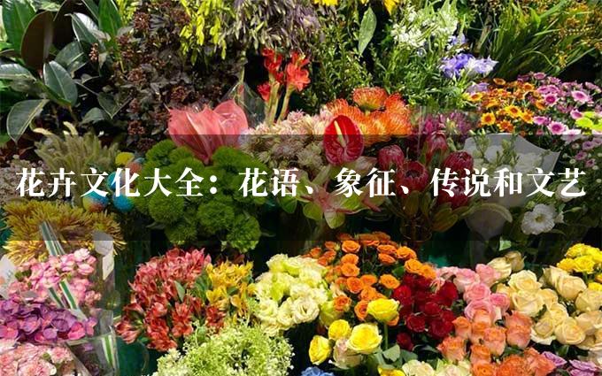 花卉文化大全：花语、象征、传说和文艺