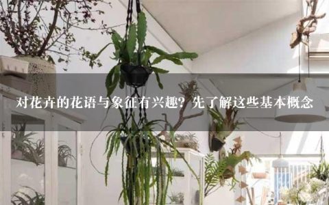 对花卉的花语与象征有兴趣？先了解这些基本概念