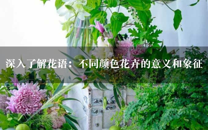 深入了解花语：不同颜色花卉的意义和象征