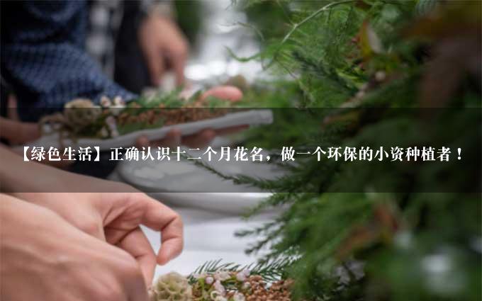 【绿色生活】正确认识十二个月花名，做一个环保的小资种植者！