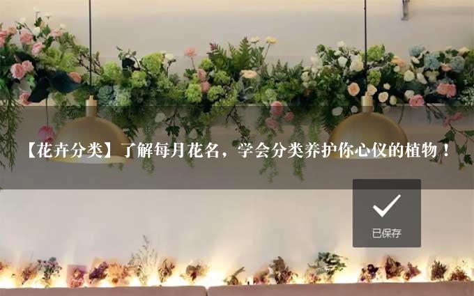 【花卉分类】了解每月花名，学会分类养护你心仪的植物！