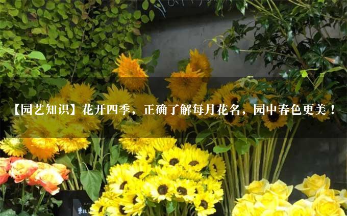 【园艺知识】花开四季，正确了解每月花名，园中春色更美！