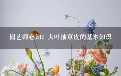 园艺师必知：大叶油草皮的基本知识