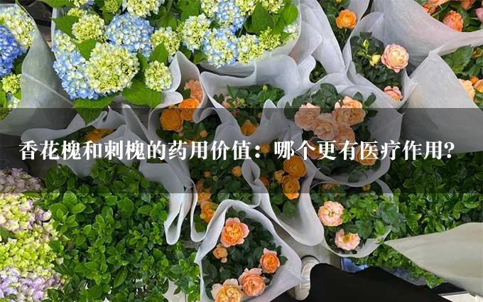 香花槐和刺槐的药用价值：哪个更有医疗作用？