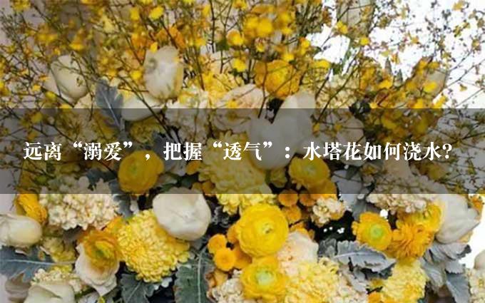 远离“溺爱”，把握“透气”：水塔花如何浇水？