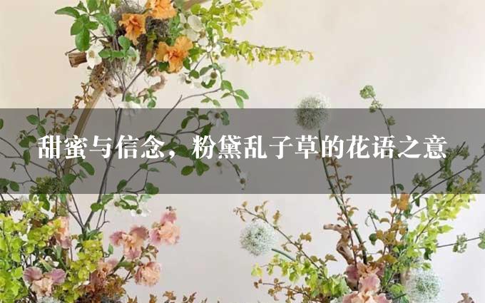 甜蜜与信念，粉黛乱子草的花语之意