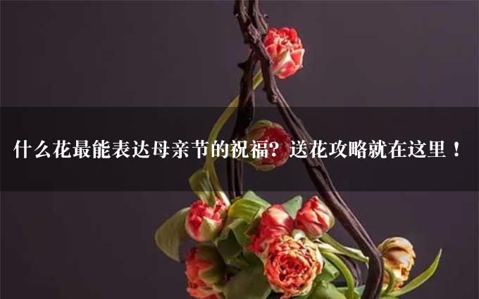 什么花最能表达母亲节的祝福？送花攻略就在这里！