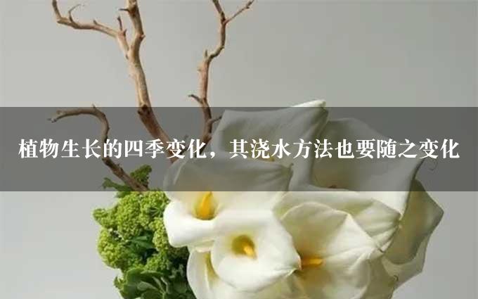 植物生长的四季变化，其浇水方法也要随之变化