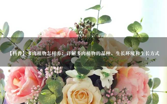 【科普】多肉植物怎样养：详解多肉植物的品种、生长环境和生长方式