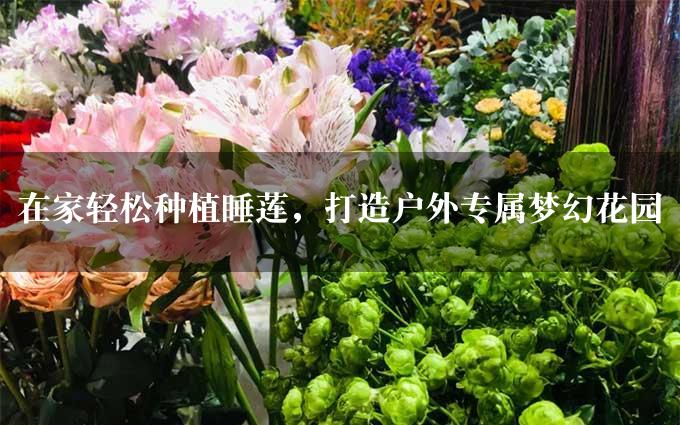 在家轻松种植睡莲，打造户外专属梦幻花园