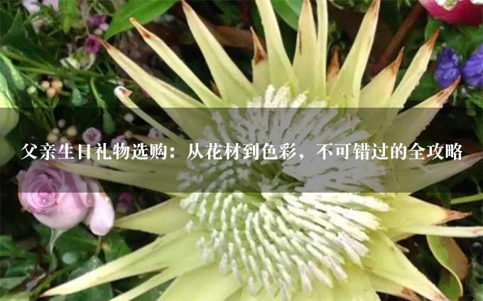 父亲生日礼物选购：从花材到色彩，不可错过的全攻略