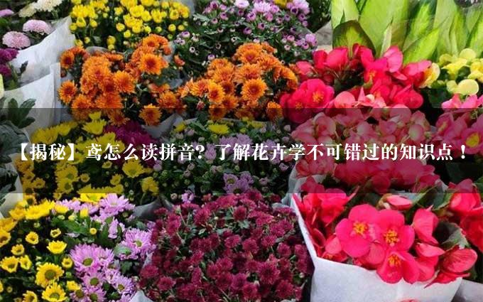 【揭秘】鸢怎么读拼音？了解花卉学不可错过的知识点！