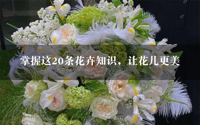 掌握这20条花卉知识，让花儿更美