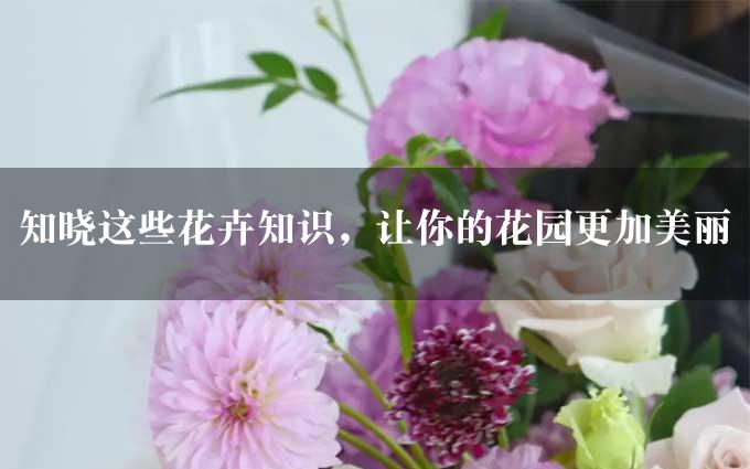 知晓这些花卉知识，让你的花园更加美丽