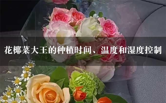 花椰菜大王的种植时间、温度和湿度控制