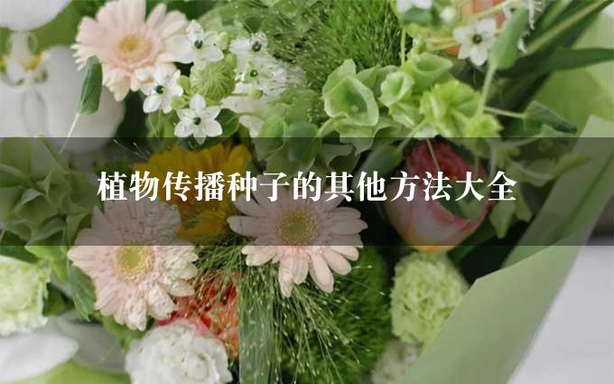 植物传播种子的其他方法大全