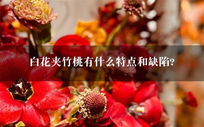 白花夹竹桃有什么特点和缺陷?