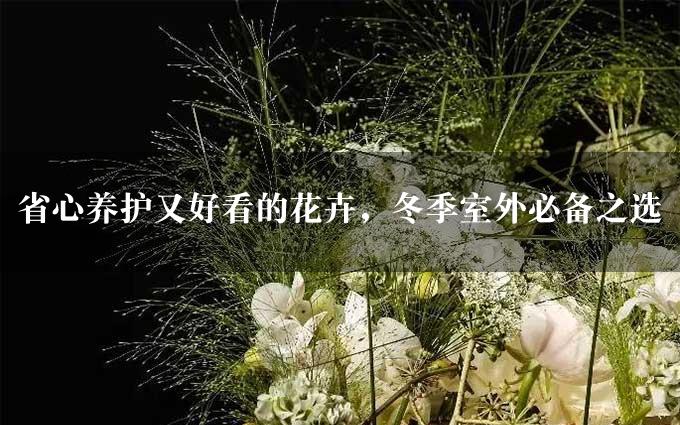 省心养护又好看的花卉，冬季室外必备之选