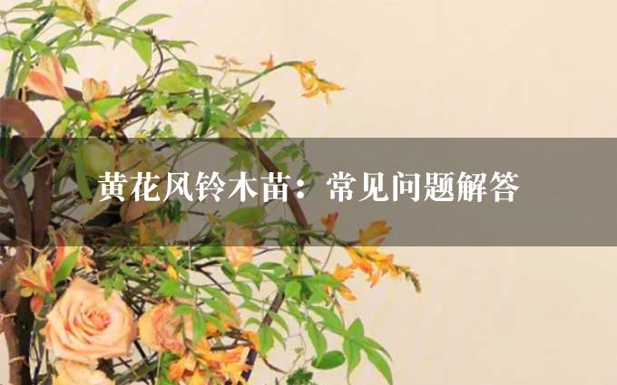 黄花风铃木苗：常见问题解答