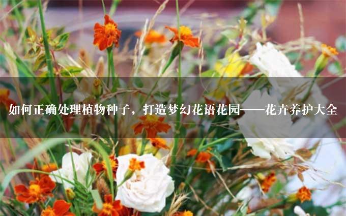 如何正确处理植物种子，打造梦幻花语花园——花卉养护大全