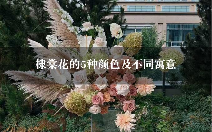 棣棠花的5种颜色及不同寓意