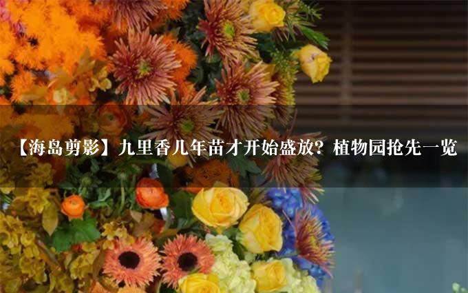 【海岛剪影】九里香几年苗才开始盛放？植物园抢先一览