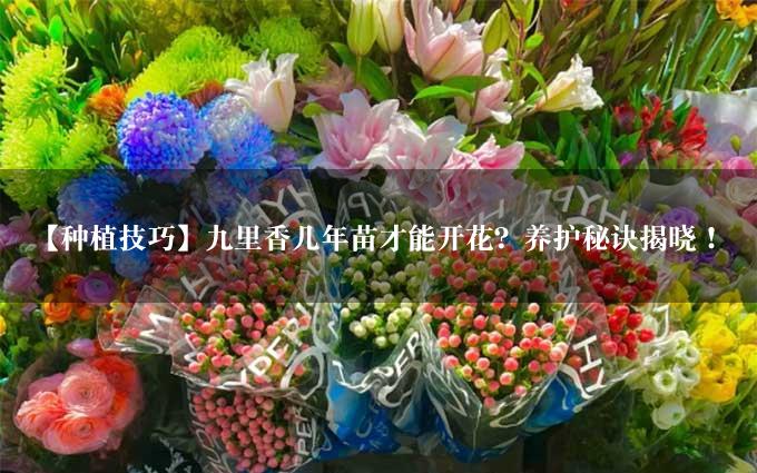 【种植技巧】九里香几年苗才能开花？养护秘诀揭晓！