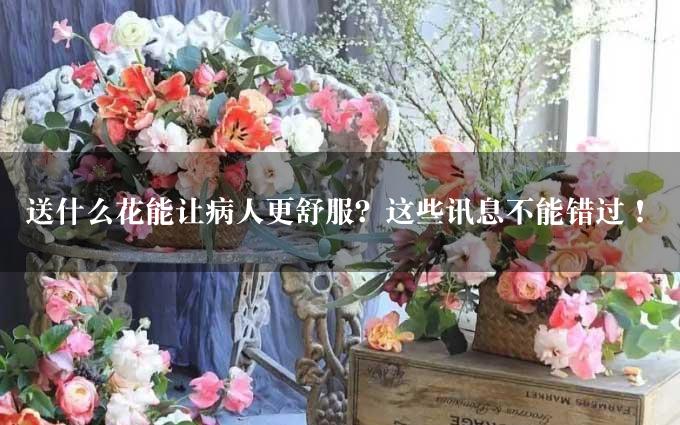 送什么花能让病人更舒服？这些讯息不能错过！