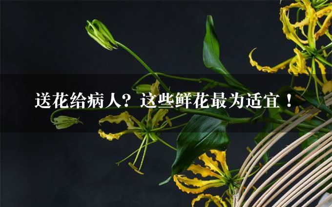 送花给病人？这些鲜花最为适宜！