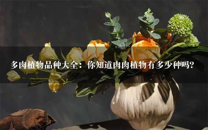 多肉植物品种大全：你知道肉肉植物有多少种吗？