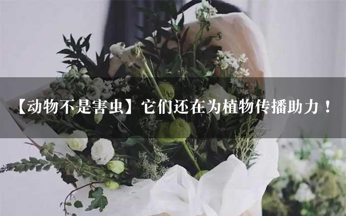 【动物不是害虫】它们还在为植物传播助力！