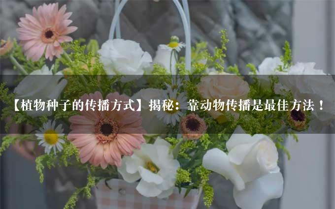 【植物种子的传播方式】揭秘：靠动物传播是最佳方法！