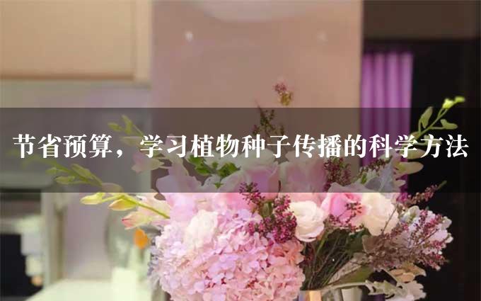 节省预算，学习植物种子传播的科学方法