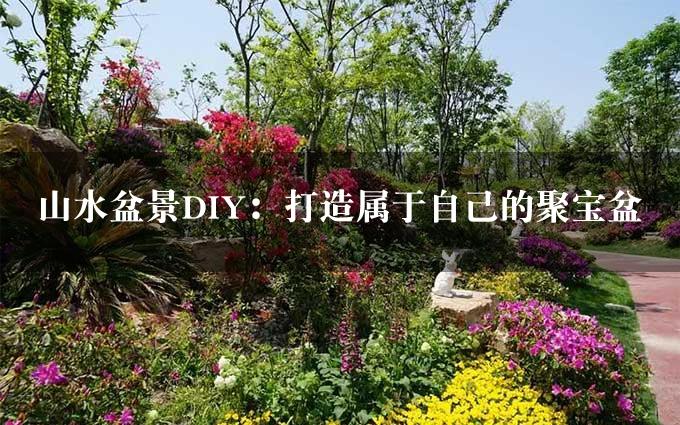 山水盆景DIY：打造属于自己的聚宝盆