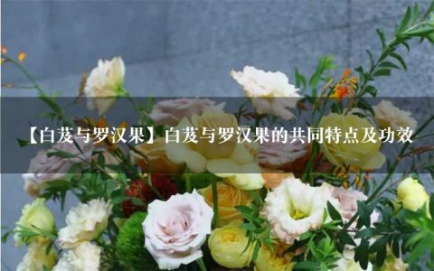 【白芨与罗汉果】白芨与罗汉果的共同特点及功效