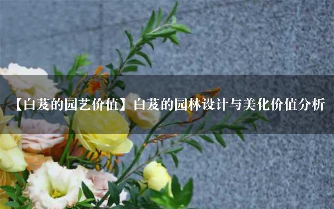 【白芨的园艺价值】白芨的园林设计与美化价值分析