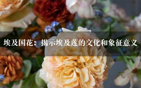 埃及国花：揭示埃及莲的文化和象征意义