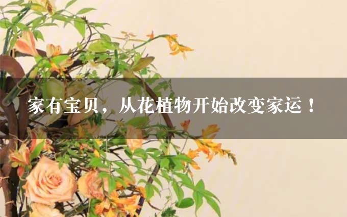 家有宝贝，从花植物开始改变家运！