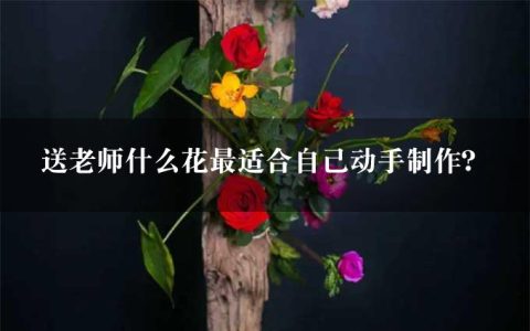 送老师什么花最适合自己动手制作？