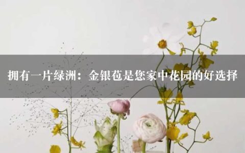 拥有一片绿洲：金银苞是您家中花园的好选择