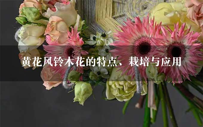 黄花风铃木花的特点、栽培与应用