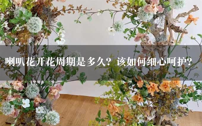 喇叭花开花周期是多久？该如何细心呵护？