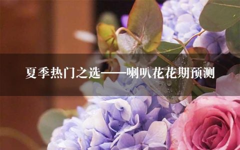 夏季热门之选——喇叭花花期预测