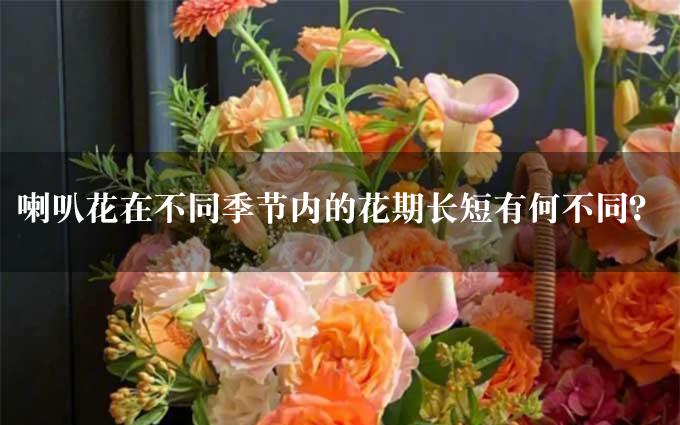 喇叭花在不同季节内的花期长短有何不同？