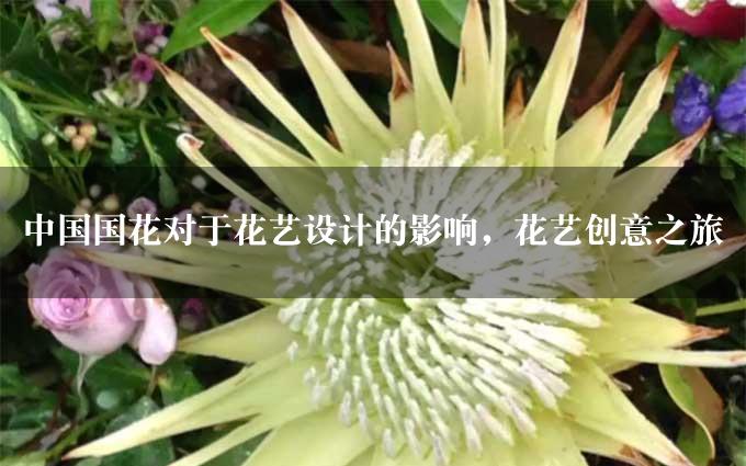 中国国花对于花艺设计的影响，花艺创意之旅